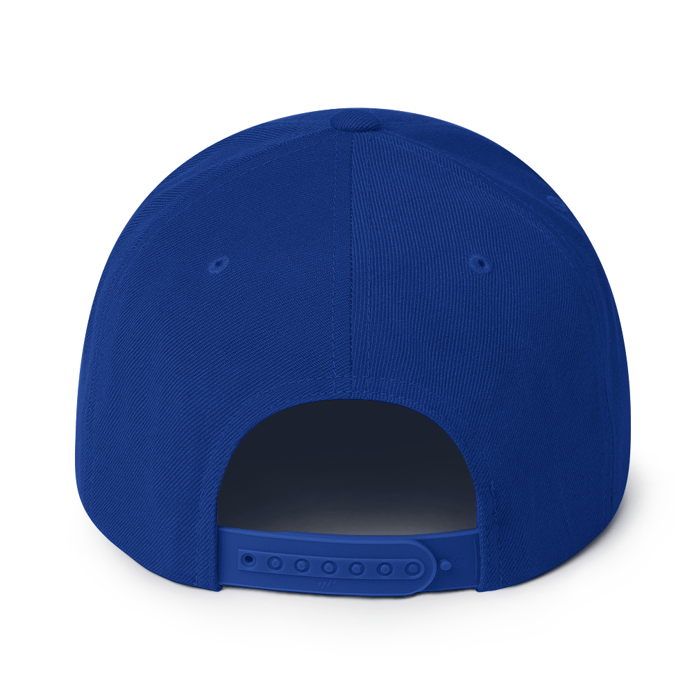 Rainbow Drip - Flat Bill Baseball Hat