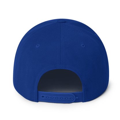 Rainbow Drip - Flat Bill Baseball Hat