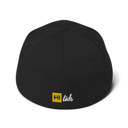 Pride Lines - Fitted Hat