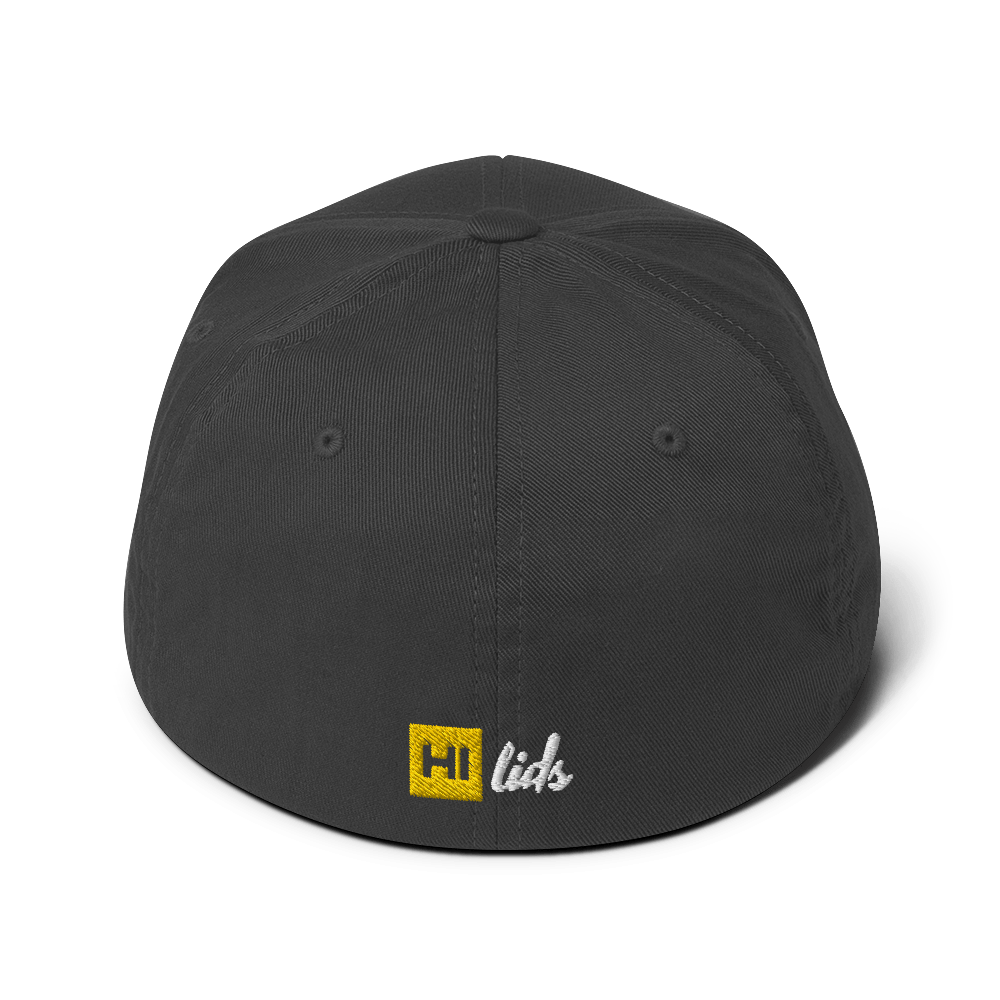 Pride Lines - Fitted Hat