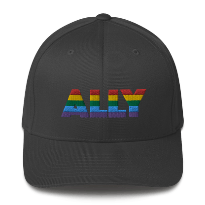 ALLY - Fitted Hat