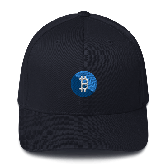 Bitcoin - Fitted Hat