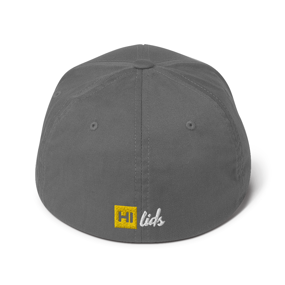 VANISH (ghost text) - Fitted Hat