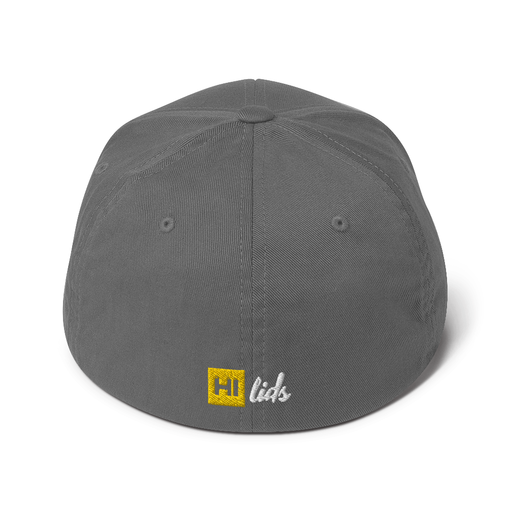 Pride Lines - Fitted Hat