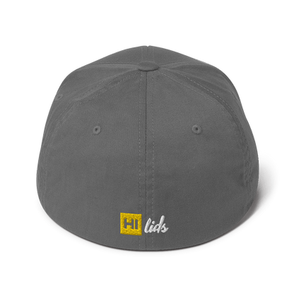 Pride Lines - Fitted Hat