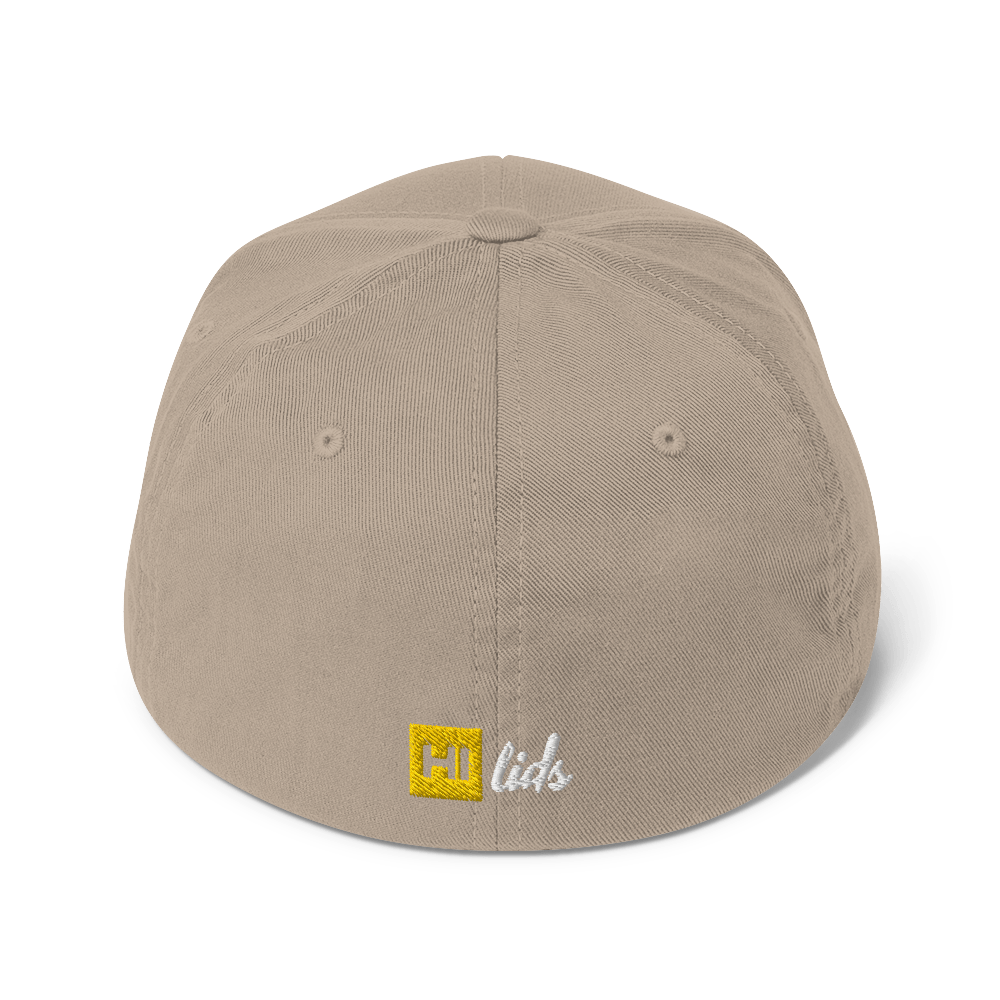 Pride Lines - Fitted Hat