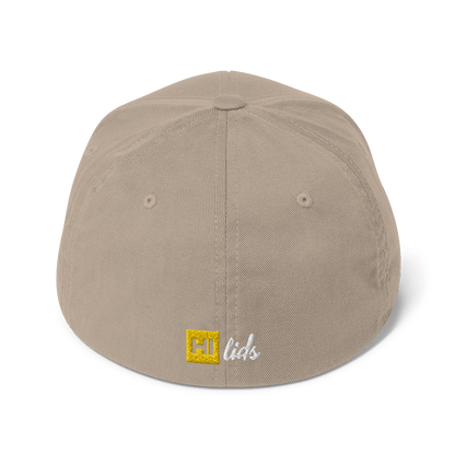 Pride Lines - Fitted Hat