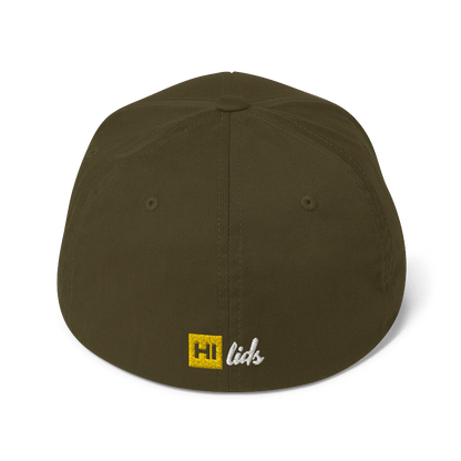 Pride Lines - Fitted Hat