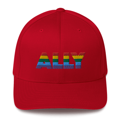 ALLY - Fitted Hat