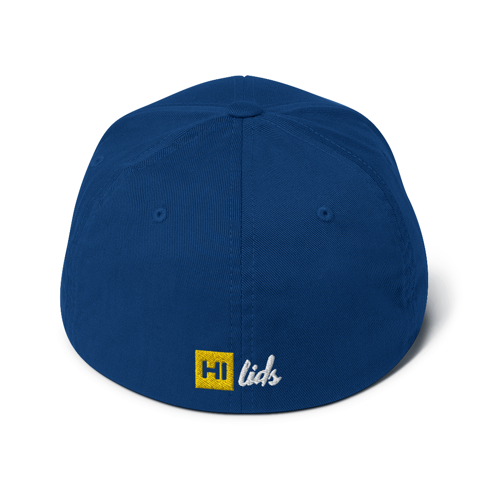 VANISH (ghost text) - Fitted Hat