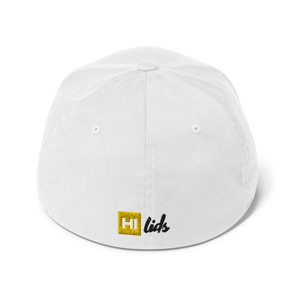 VANISH (ghost text) - Fitted Hat