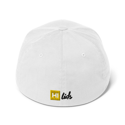 VANISH (ghost text) - Fitted Hat