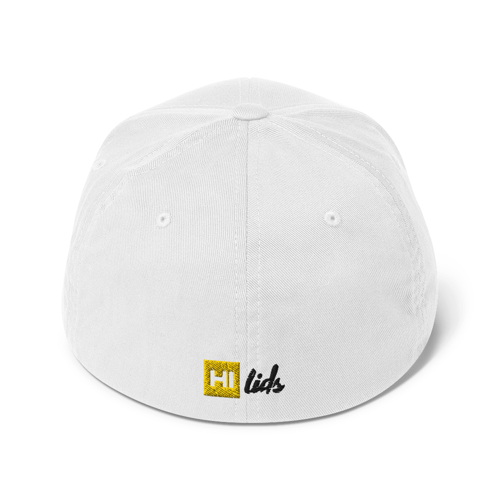 Pride Lines - Fitted Hat